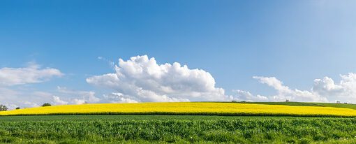 Frühling