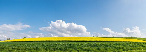 Frühling
